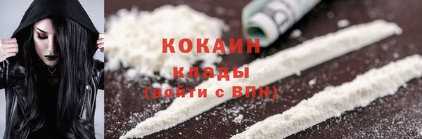 трава Аркадак