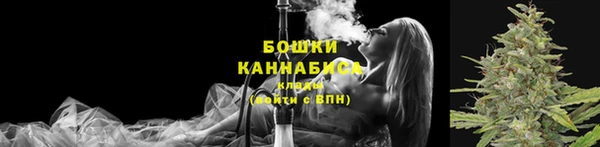 PSILOCYBIN Арсеньев