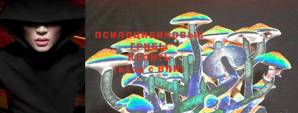 PSILOCYBIN Арсеньев